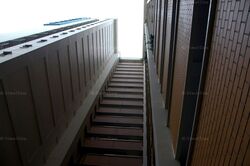 Blk 611 Bukit Panjang Ring Road (Bukit Panjang), HDB 5 Rooms #589202271